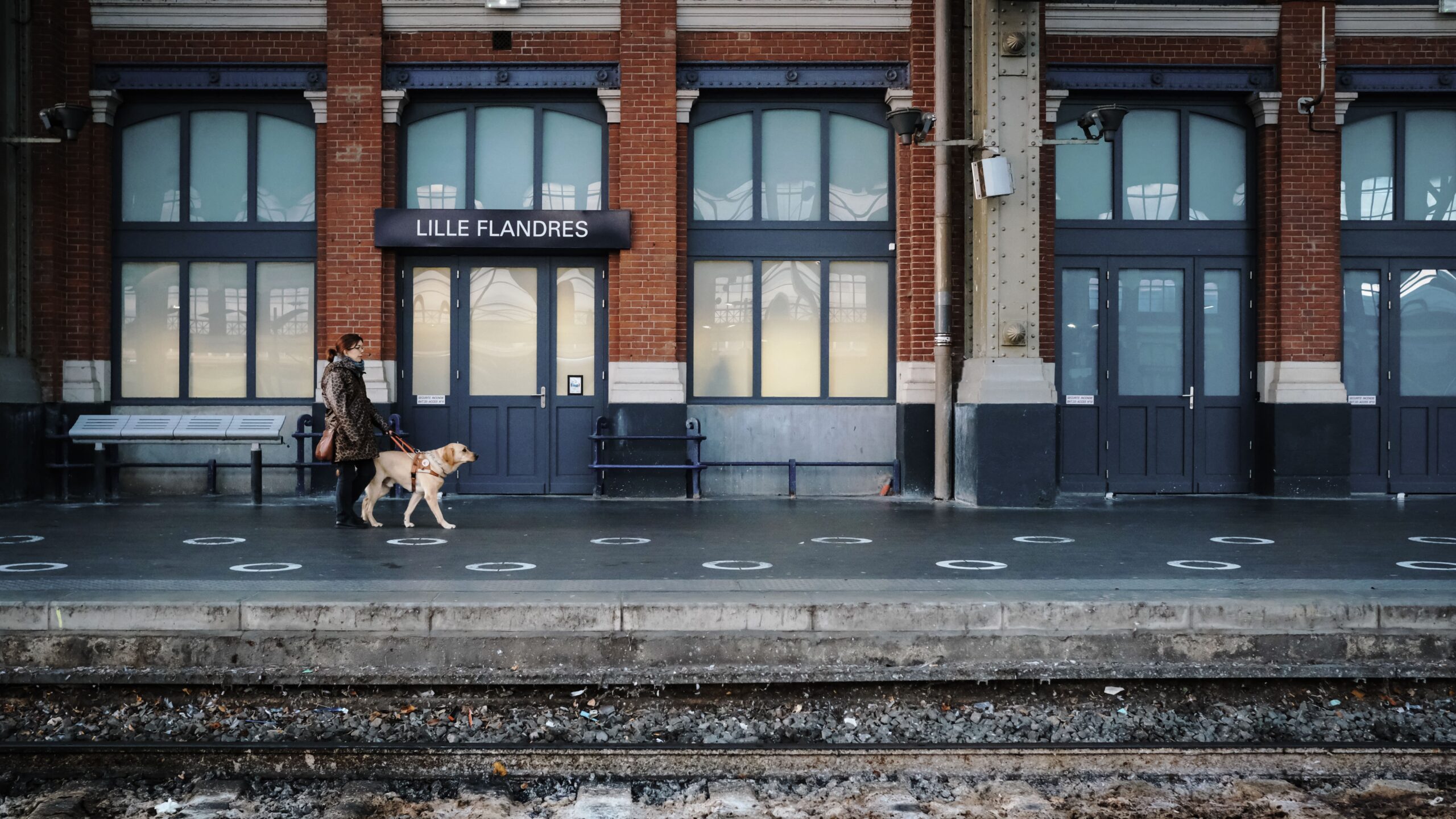 Chien guide avec sa famille