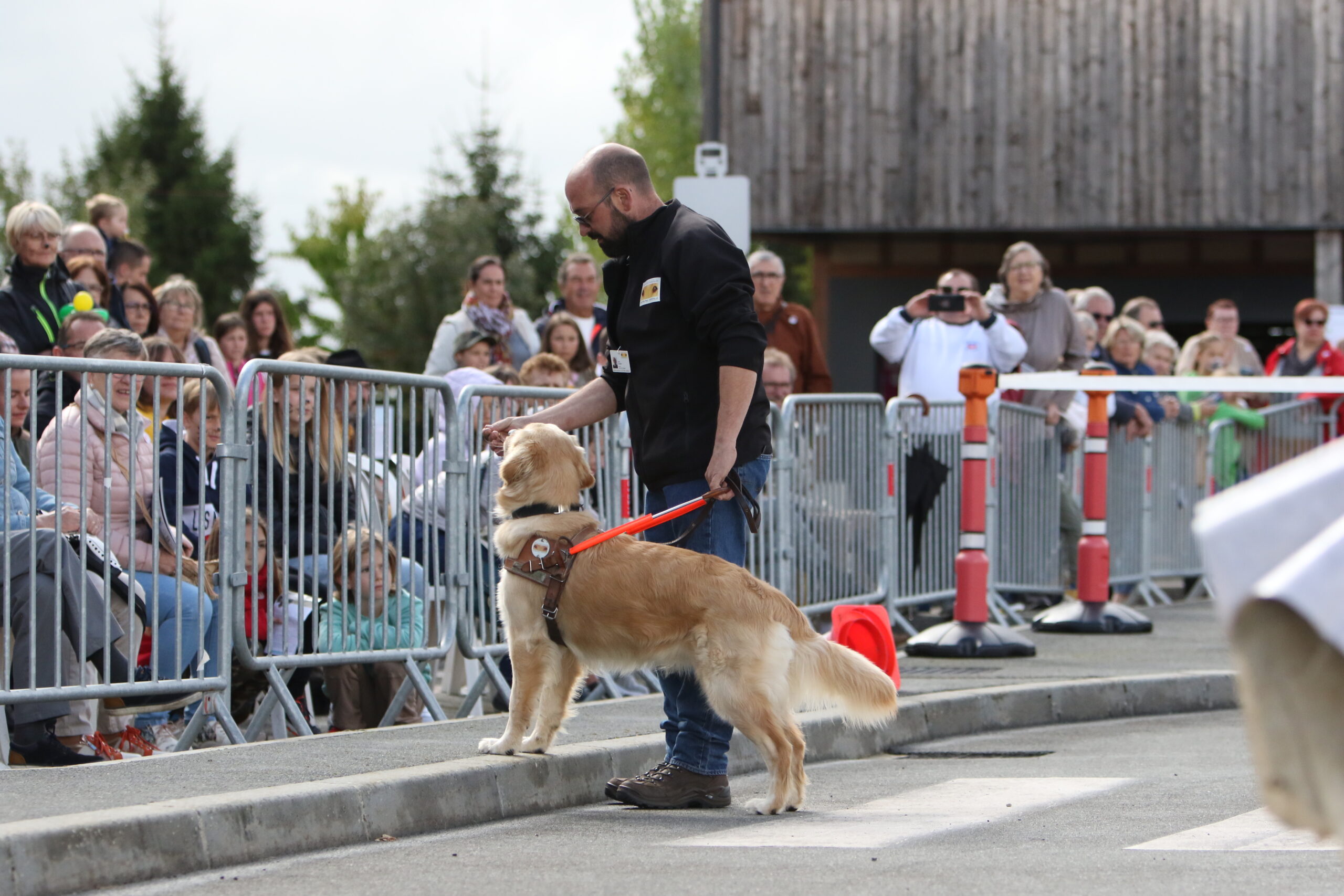 10 ans en Normandie - un homme fait une démonstration avec son golden lors d'une porte ouverte
