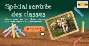 Rentrée des classes, je soutiens les chiens guides 