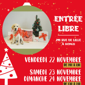 Affiche marché de noël 2024