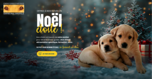 Un noël étoilé